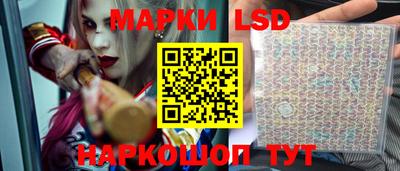 шишки Можга
