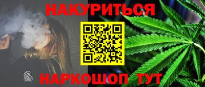 шишки Можга